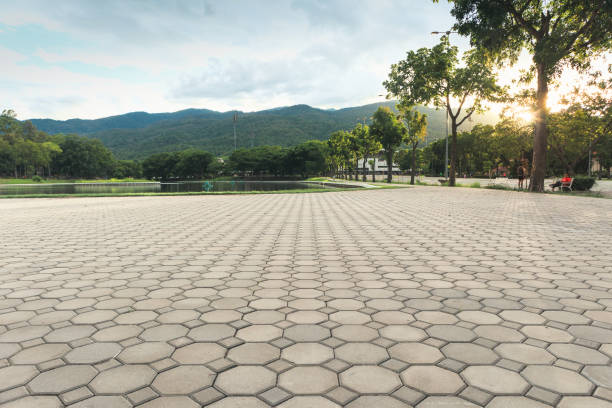 Best Local Driveway Pavers  in Rochester, MI
